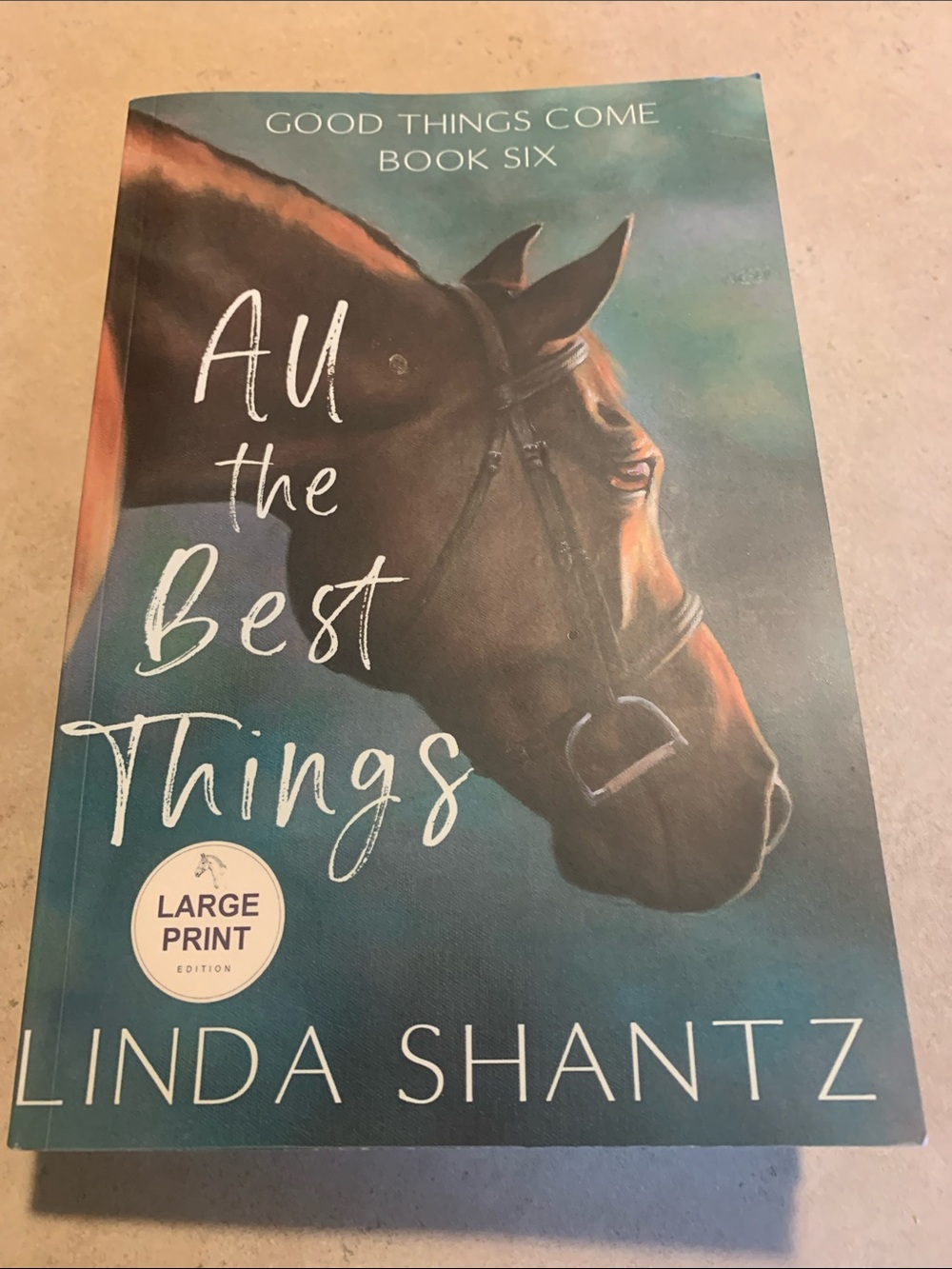 'All the Best Things' Large Print - Teal Cover